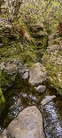 Plants: image 105 Of 208 Thumb